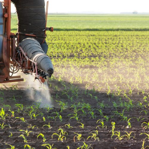 corn-crop-tractor-fertilizer-pesticide